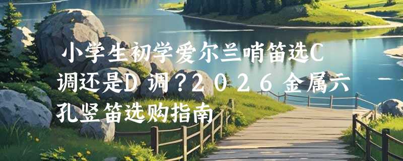 小学生初学爱尔兰哨笛选C调还是D调？2026金属六孔竖笛选购指南