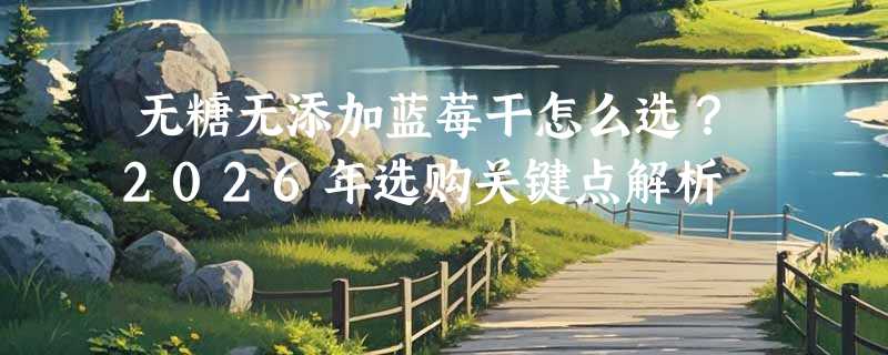 无糖无添加蓝莓干怎么选？2026年选购关键点解析