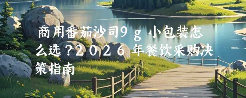 商用番茄沙司9g小包装怎么选？2026年餐饮采购决策指南