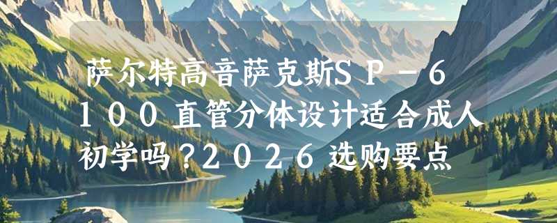 萨尔特高音萨克斯SP-6100直管分体设计适合成人初学吗？2026选购要点