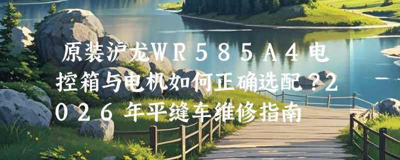 原装沪龙WR585A4电控箱与电机如何正确选配？2026年平缝车维修指南