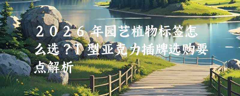 2026年园艺植物标签怎么选？T型亚克力插牌选购要点解析