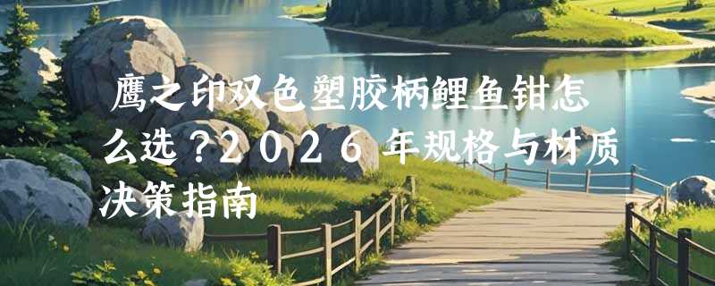 鹰之印双色塑胶柄鲤鱼钳怎么选？2026年规格与材质决策指南