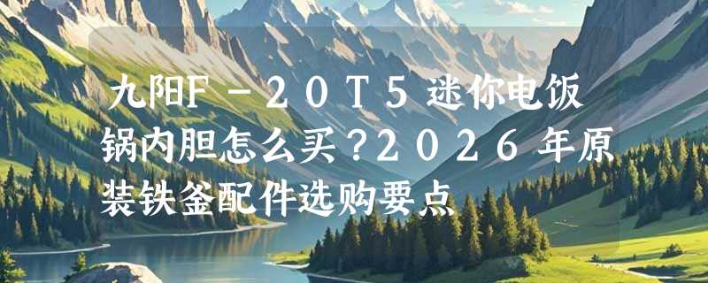九阳F-20T5迷你电饭锅内胆怎么买？2026年原装铁釜配件选购要点