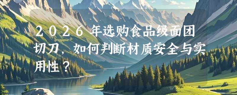 2026年选购食品级面团切刀，如何判断材质安全与实用性？