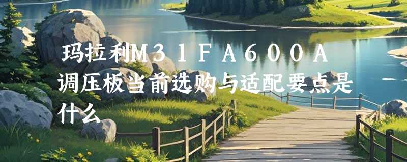 玛拉利M31FA600A调压板当前选购与适配要点是什么