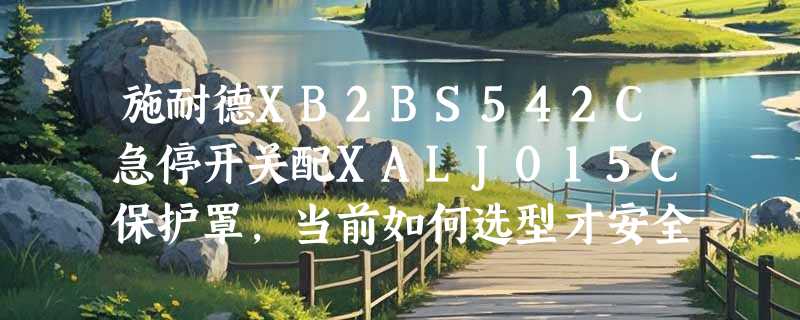 施耐德XB2BS542C急停开关配XALJ015C保护罩，当前如何选型才安全合规？