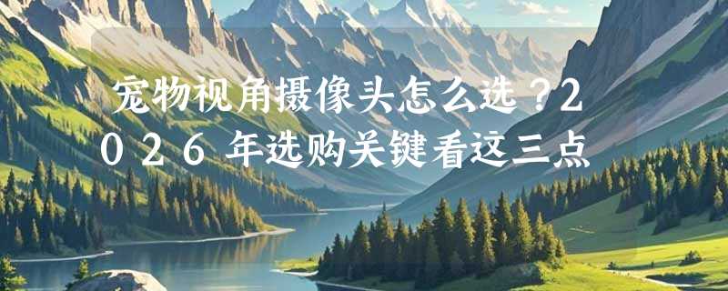 宠物视角摄像头怎么选？2026年选购关键看这三点