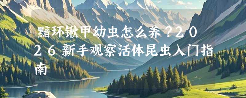黯环锹甲幼虫怎么养？2026新手观察活体昆虫入门指南