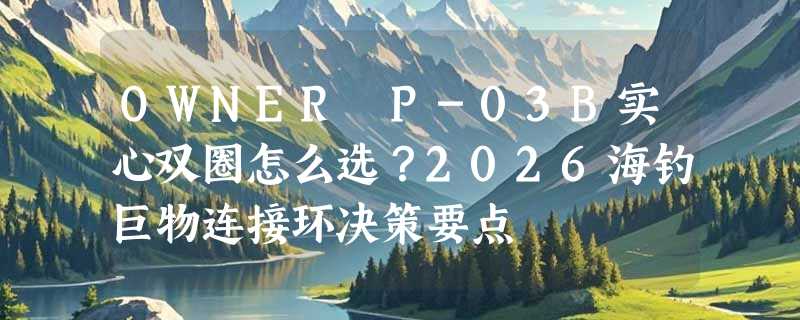OWNER P-03B实心双圈怎么选？2026海钓巨物连接环决策要点
