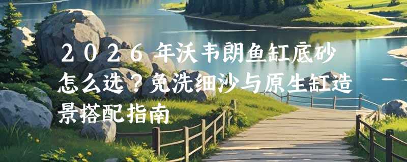 2026年沃韦朗鱼缸底砂怎么选？免洗细沙与原生缸造景搭配指南