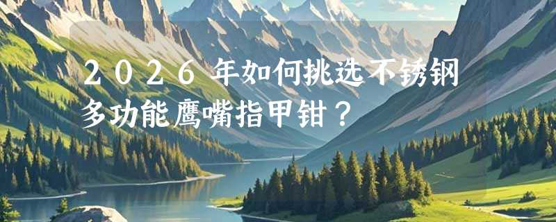 2026年如何挑选不锈钢多功能鹰嘴指甲钳？
