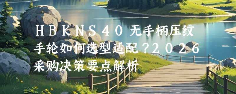 HBKNS40无手柄压纹手轮如何选型适配？2026采购决策要点解析