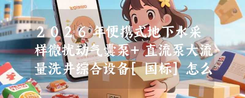 2026年便携式地下水采样微扰动气囊泵+直流泵大流量洗井综合设备[国标]怎么选？