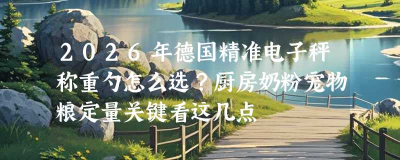 2026年德国精准电子秤称重勺怎么选？厨房奶粉宠物粮定量关键看这几点