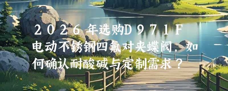 2026年选购D971F电动不锈钢四氟对夹蝶阀，如何确认耐酸碱与定制需求？