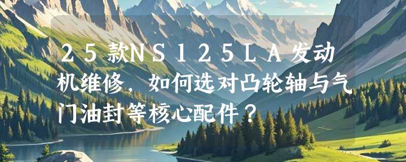 25款NS125LA发动机维修，如何选对凸轮轴与气门油封等核心配件？