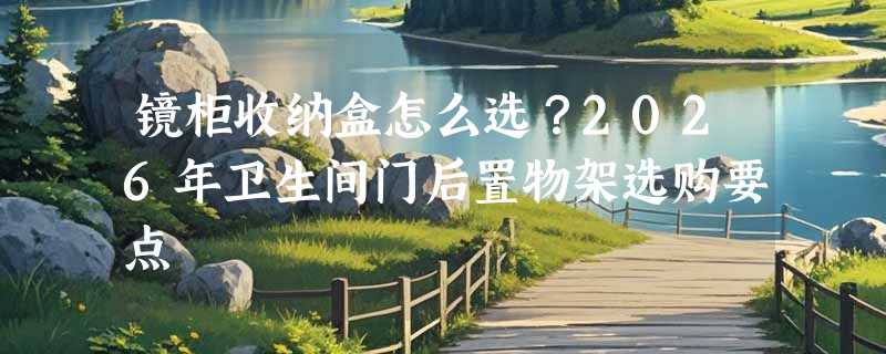 镜柜收纳盒怎么选？2026年卫生间门后置物架选购要点