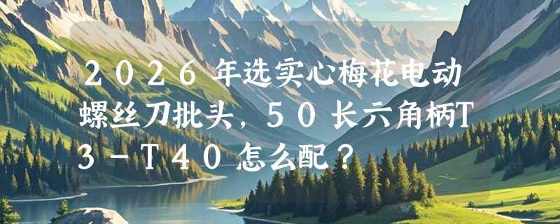 2026年选实心梅花电动螺丝刀批头，50长六角柄T3-T40怎么配？