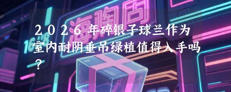 2026年碎银子球兰作为室内耐阴垂吊绿植值得入手吗？