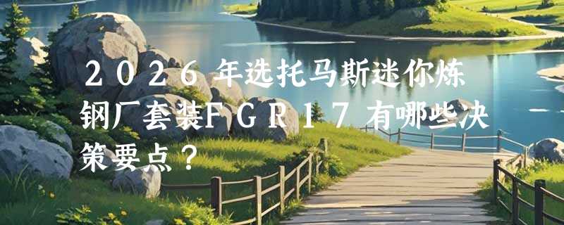 2026年选托马斯迷你炼钢厂套装FGR17有哪些决策要点？