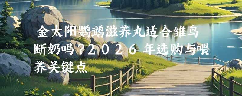 金太阳鹦鹉滋养丸适合雏鸟断奶吗？2026年选购与喂养关键点