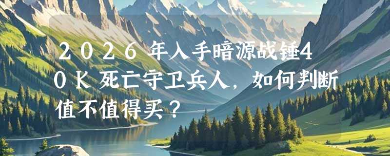 2026年入手暗源战锤40K死亡守卫兵人，如何判断值不值得买？