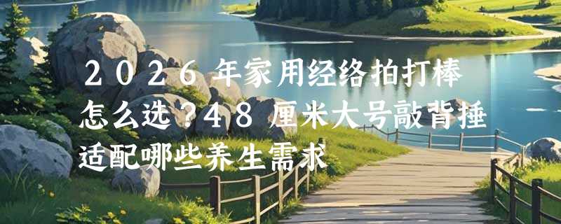 2026年家用经络拍打棒怎么选？48厘米大号敲背捶适配哪些养生需求
