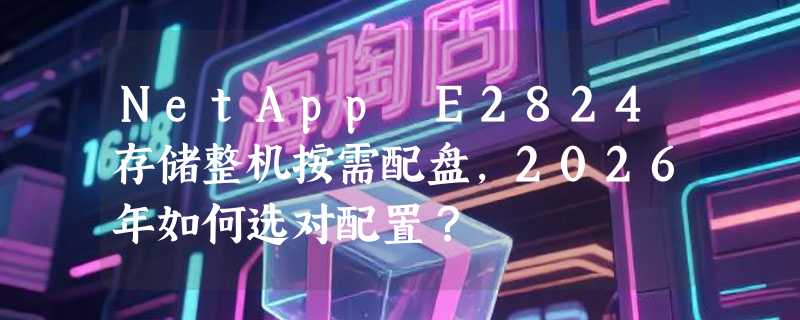 NetApp E2824存储整机按需配盘，2026年如何选对配置？