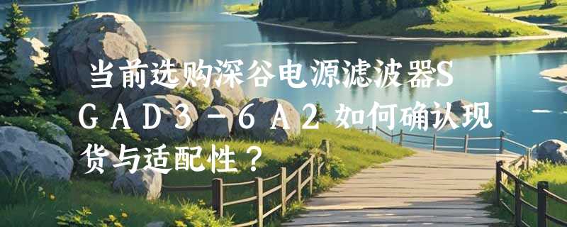 当前选购深谷电源滤波器SGAD3-6A2如何确认现货与适配性？