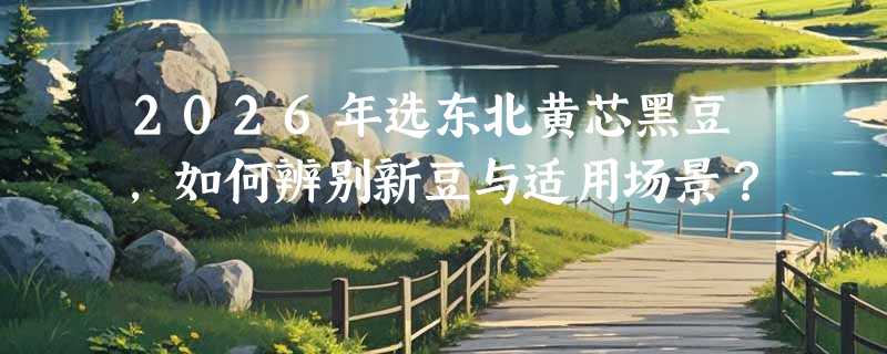 2026年选东北黄芯黑豆，如何辨别新豆与适用场景？