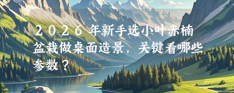 2026年新手选小叶赤楠盆栽做桌面造景，关键看哪些参数？