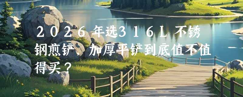 2026年选316L不锈钢煎铲，加厚平铲到底值不值得买？
