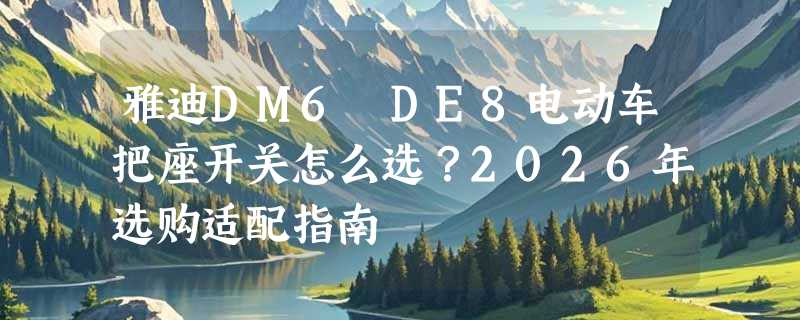 雅迪DM6 DE8电动车把座开关怎么选？2026年选购适配指南