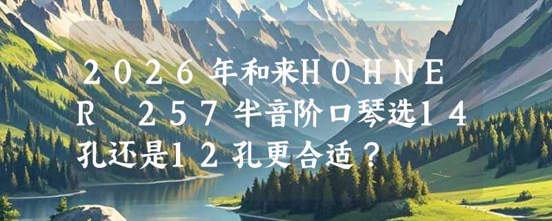 2026年和来HOHNER 257半音阶口琴选14孔还是12孔更合适？