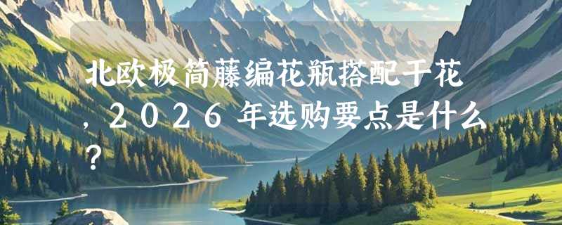 北欧极简藤编花瓶搭配干花，2026年选购要点是什么？