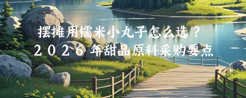 摆摊用糯米小丸子怎么选？2026年甜品原料采购要点