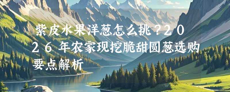 紫皮水果洋葱怎么挑？2026年农家现挖脆甜圆葱选购要点解析