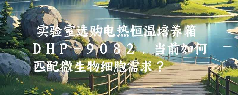 实验室选购电热恒温培养箱DHP-9082，当前如何匹配微生物细胞需求？