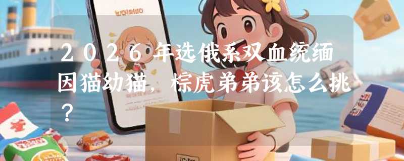 2026年选俄系双血统缅因猫幼猫，棕虎弟弟该怎么挑？