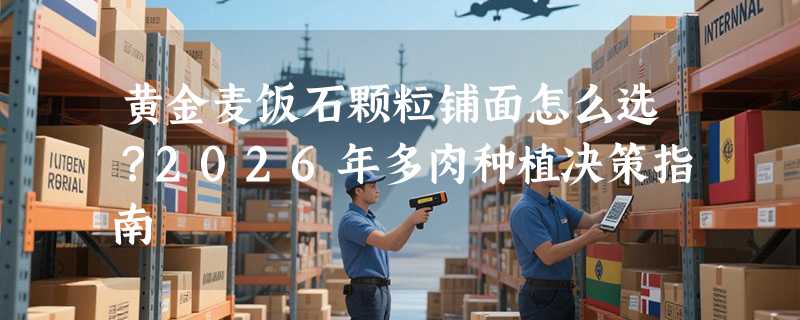 黄金麦饭石颗粒铺面怎么选？2026年多肉种植决策指南