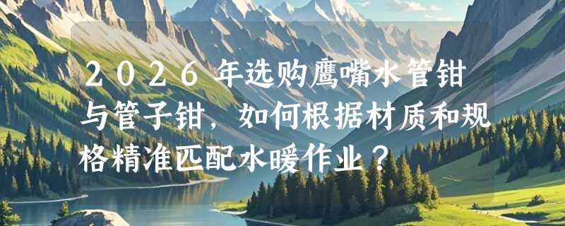 2026年选购鹰嘴水管钳与管子钳，如何根据材质和规格精准匹配水暖作业？