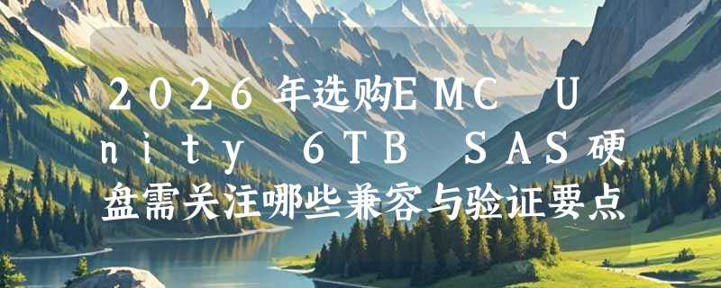 2026年选购EMC Unity 6TB SAS硬盘需关注哪些兼容与验证要点？