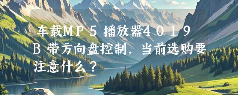 车载MP5播放器4019B带方向盘控制，当前选购要注意什么？