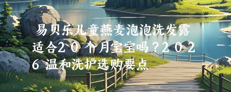 易贝乐儿童燕麦泡泡洗发露适合20个月宝宝吗？2026温和洗护选购要点