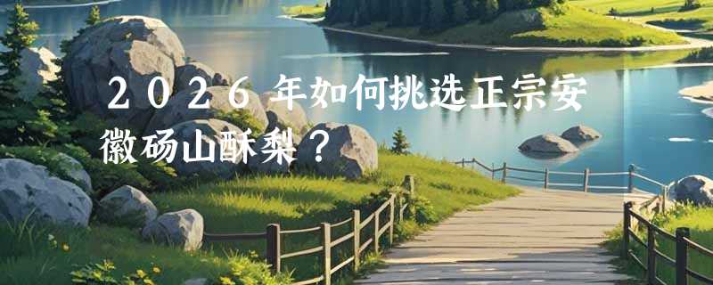 2026年如何挑选正宗安徽砀山酥梨？