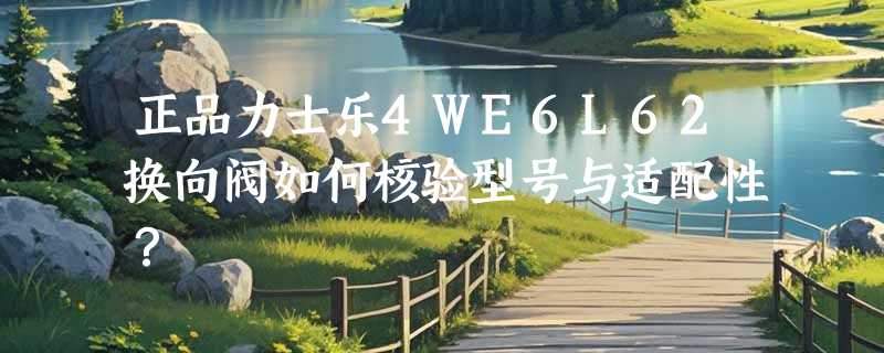 正品力士乐4WE6L62换向阀如何核验型号与适配性？