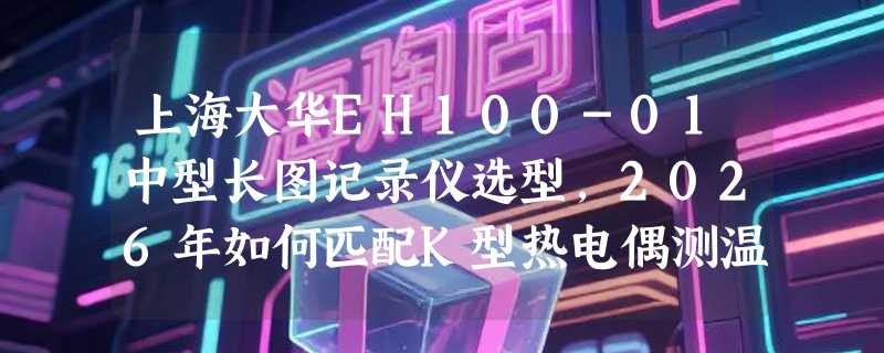上海大华EH100-01中型长图记录仪选型，2026年如何匹配K型热电偶测温需求？