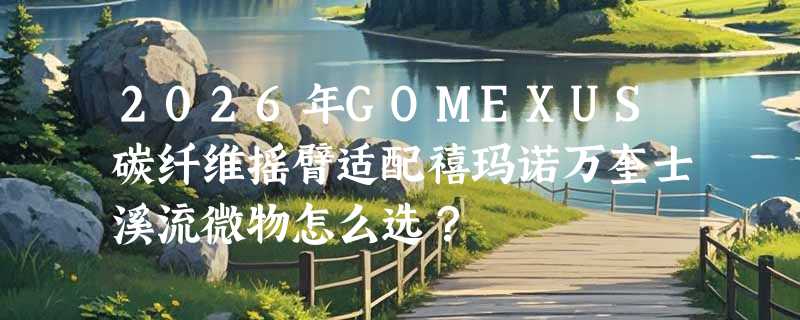 2026年GOMEXUS碳纤维摇臂适配禧玛诺万奎士溪流微物怎么选？