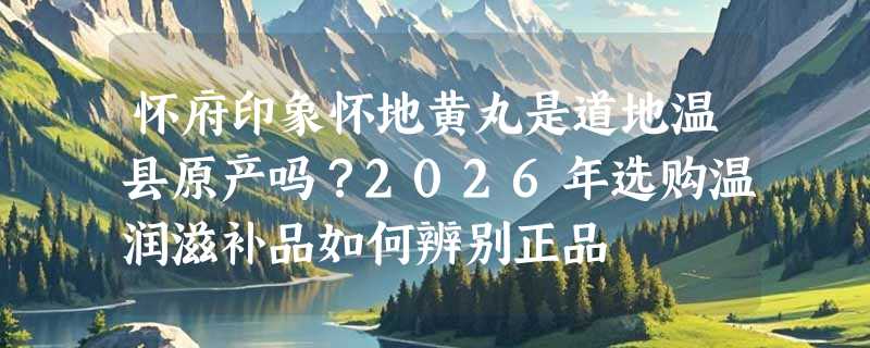 怀府印象怀地黄丸是道地温县原产吗？2026年选购温润滋补品如何辨别正品